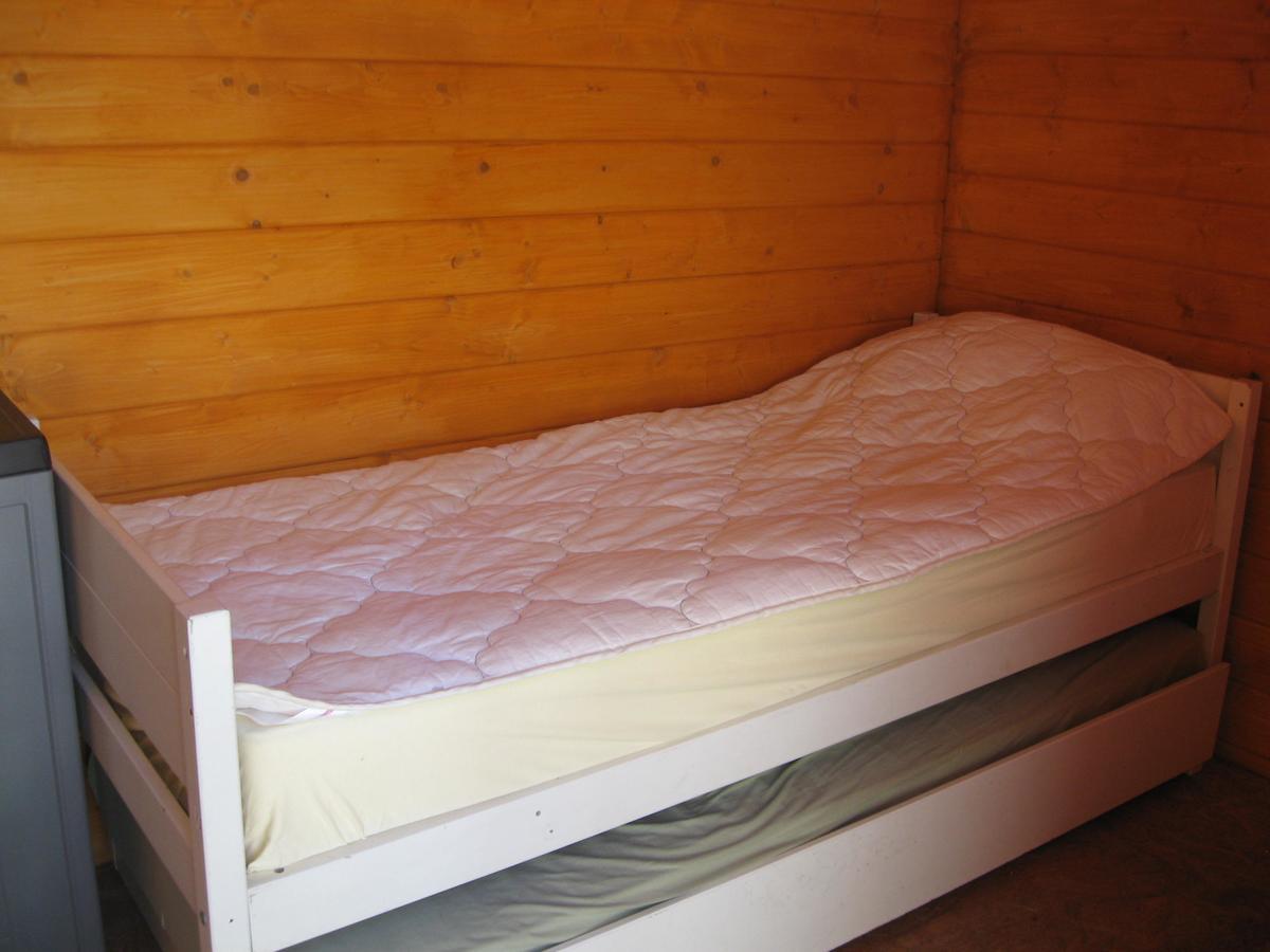 Hostel Trajan Donji Milanovac Extérieur photo